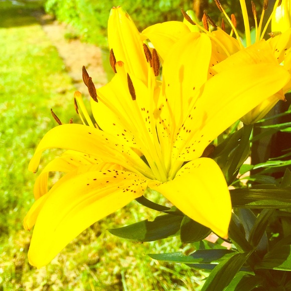 Meet your Posher, Briana - Picture 1 of 1